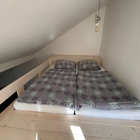 Radbuza Apartment *