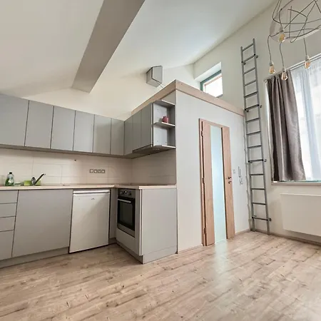 Radbuza Apartment *