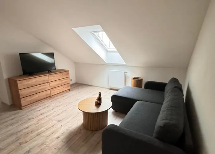 Radbuza Apartamento Plzeň