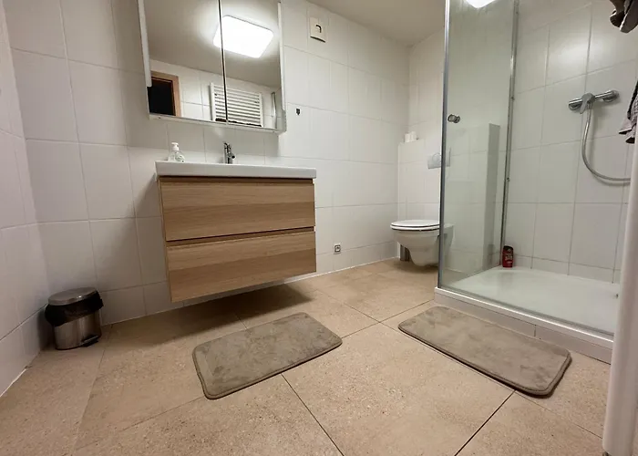 Radbuza Apartament
