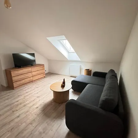 Radbuza Apartmán Plzeň